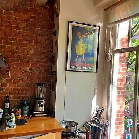 Bohemian Loft Guest house